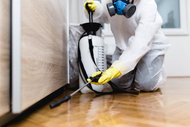 Best Best Pest Control Companies  in Highland, IL