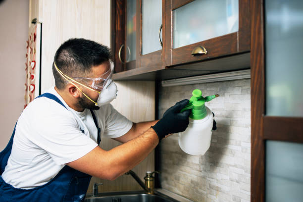 Best Affordable Pest Control Services  in Highland, IL