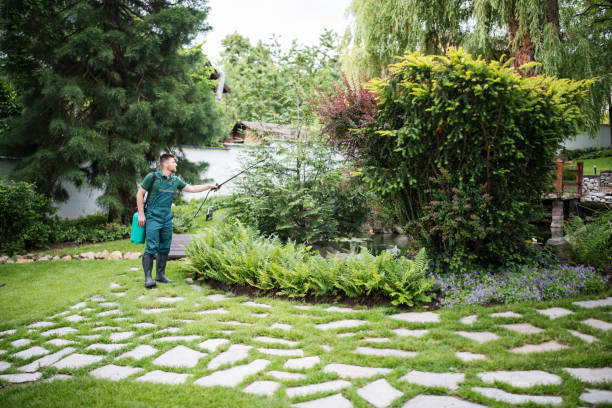 Best Pest Control Near Me  in Highland, IL