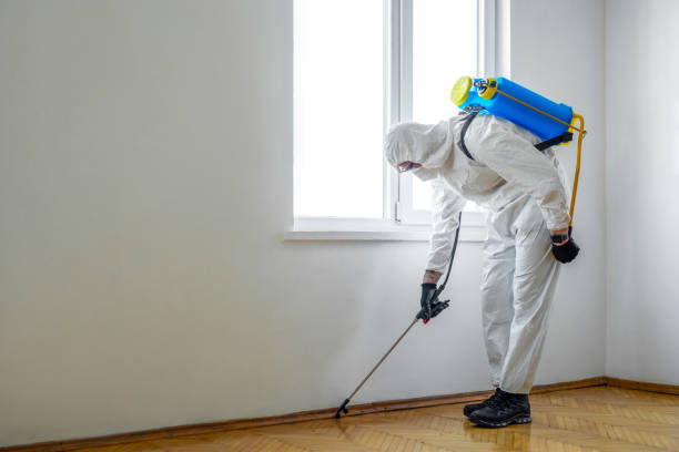 Pest Control for Restaurants in Highland, IL