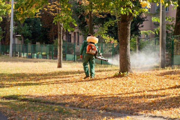 Best Rodent Control Near Me  in Highland, IL