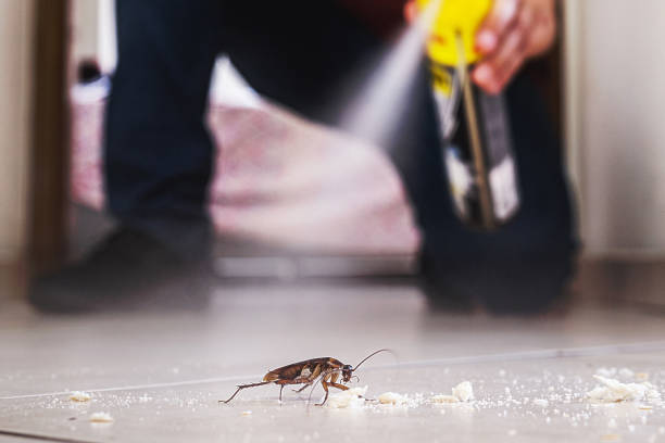 Best Pest Removal Services  in Highland, IL